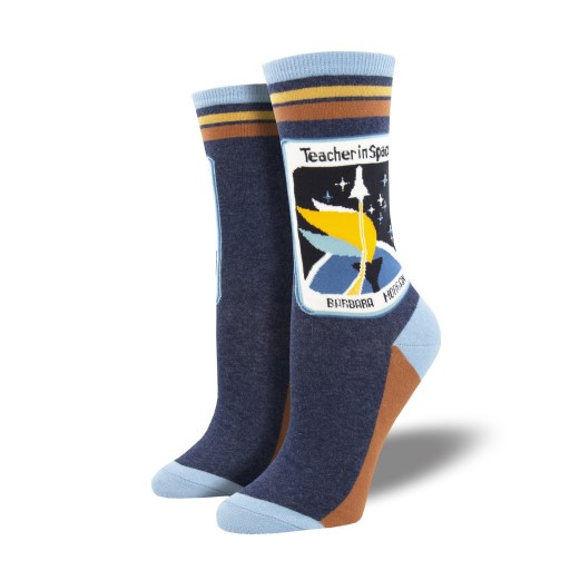 Socks Teachers in Space 9-11